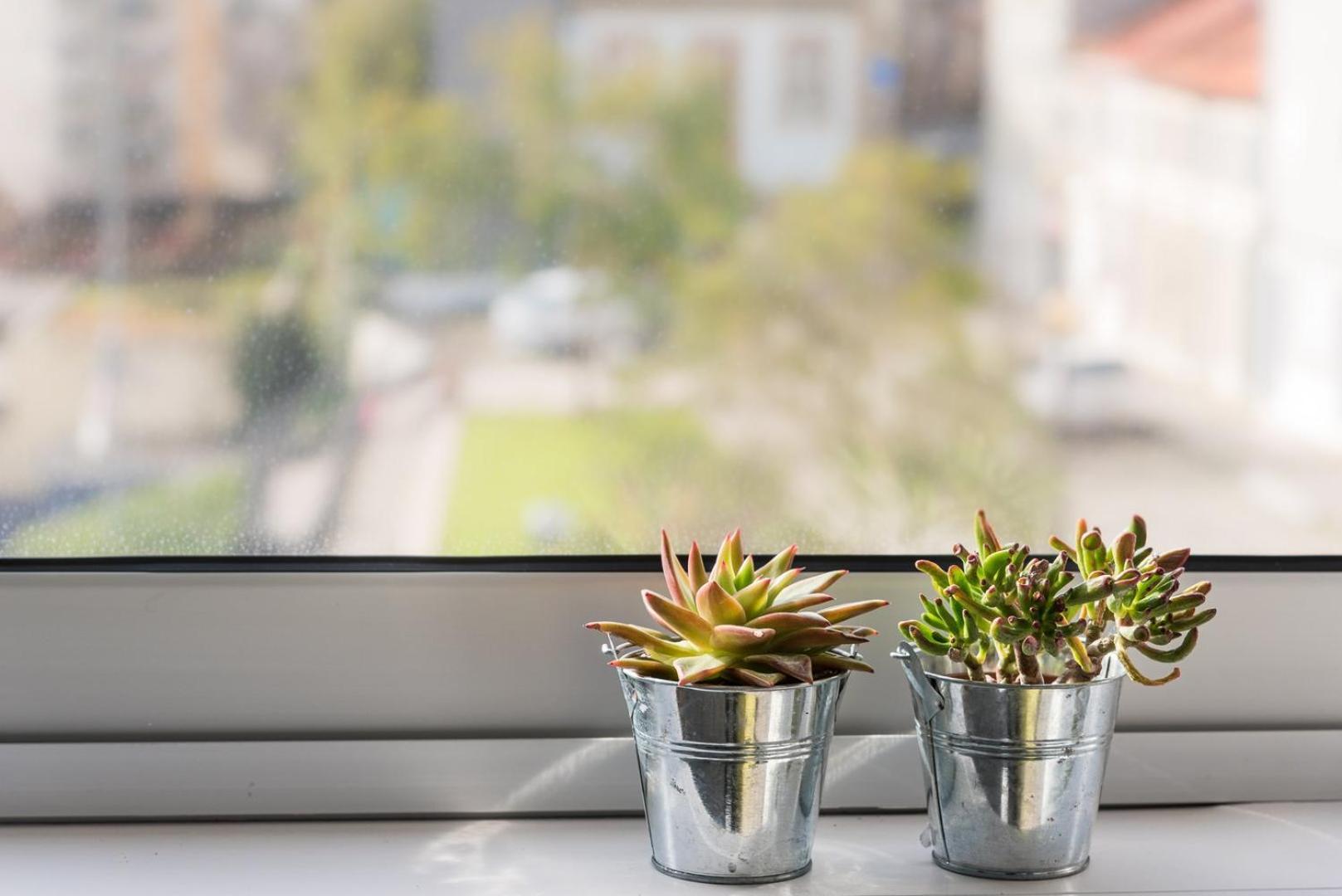 Guestready - Assuntos De Recreio Apartment Porto Bagian luar foto